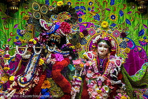 Vibrant depiction of Lord Krishna and Radha adorned with flowers and peacock feathers HD wallpaper