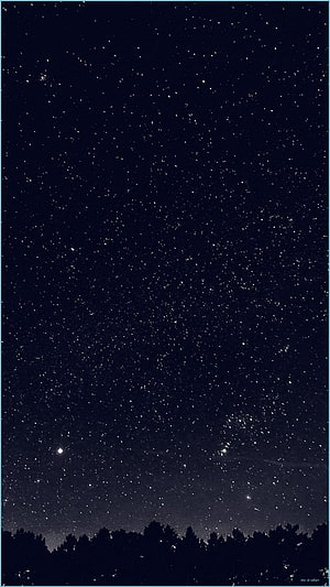 Starry Night Sky Over Silhouetted Forest Horizon HD phone wallpaper