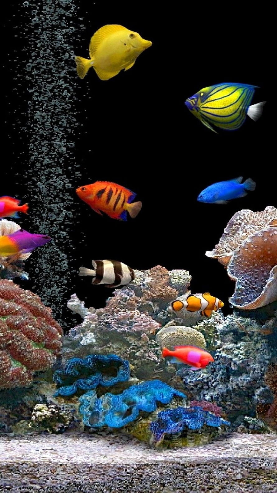 Vibrant Tropical Fish Swimming Over Colorful Coral Reef With Rising Bubbles HD phone wallpaper
