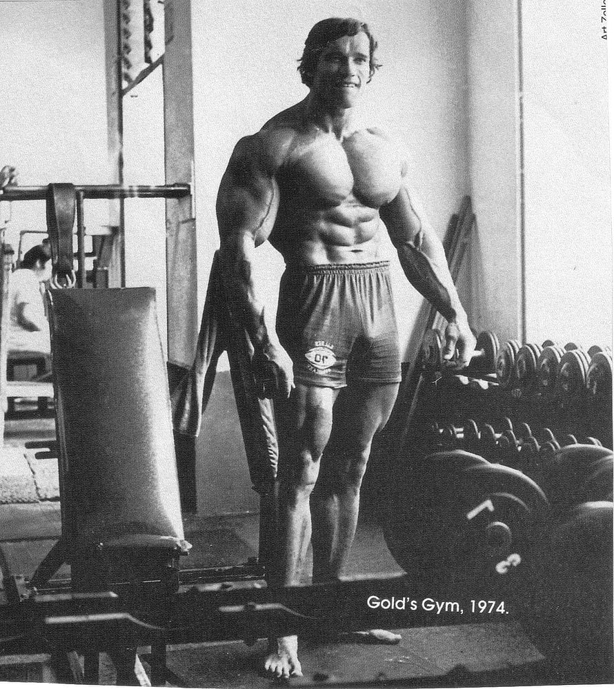 Arnold Schwarzenegger posing in a vintage gym with dumbbells and weight equipment HD phone wallpaper