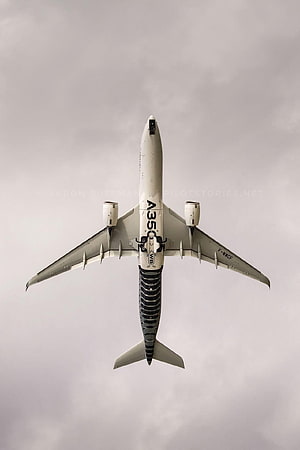 Airbus A350 XWB in flight with shark livery against overcast sky HD phone wallpaper