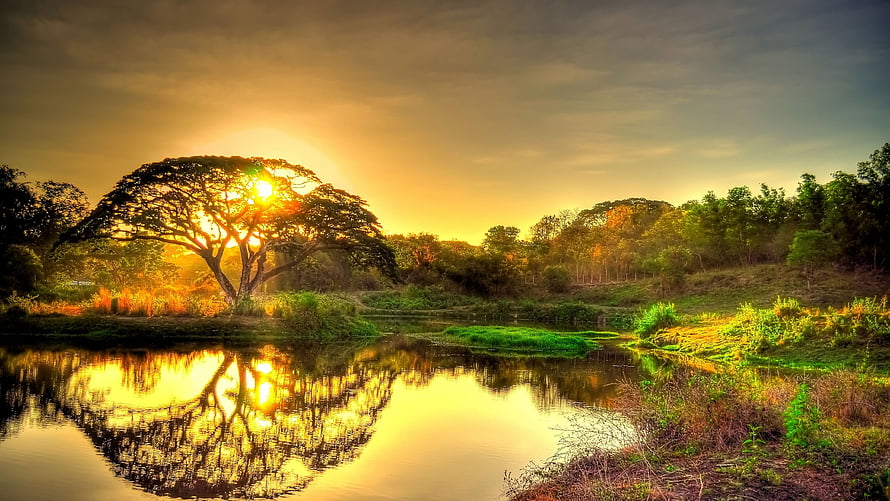 Golden Sunset Over Serene Lake With Majestic Tree Reflection HD wallpaper