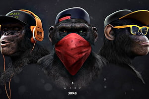 Three Cool Hip Hop Chimpanzees With Headphones, Sunglasses, And Bandana HD wallpaper