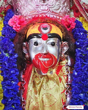 Silver idol of Lord Jagannath adorned with blue flower garlands and golden silk robes HD phone wallpaper
