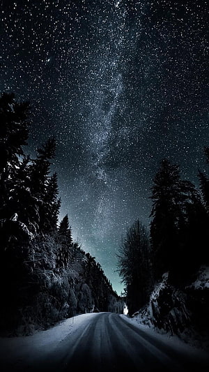 Snowy Forest Road Under a Starry Night Sky with the Milky Way HD phone wallpaper