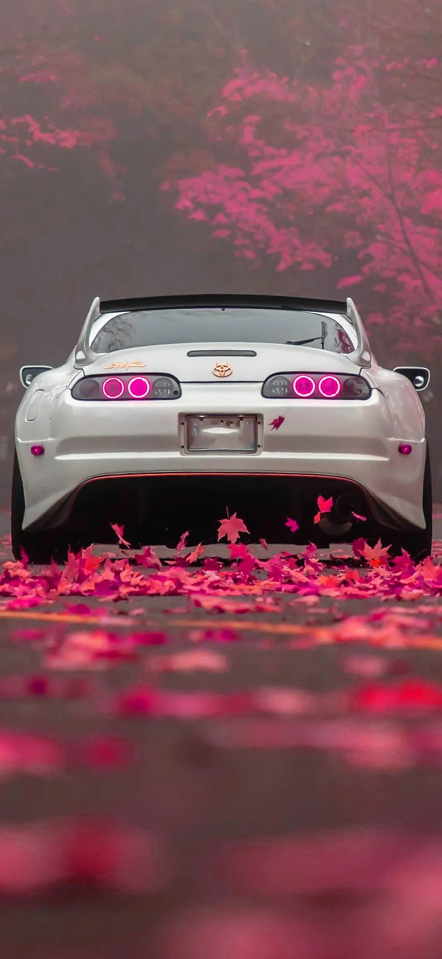 White Toyota Supra RZ Rear View With Pink Taillights Amidst Autumn Leaves HD phone wallpaper