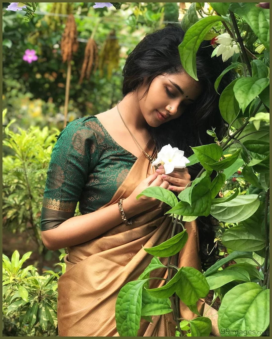 Woman in Green and Gold Saree Holding White Flower in Garden, Anupama Parameswaran Beautiful & Mobile, indian beautiful girl mobile HD phone wallpaper