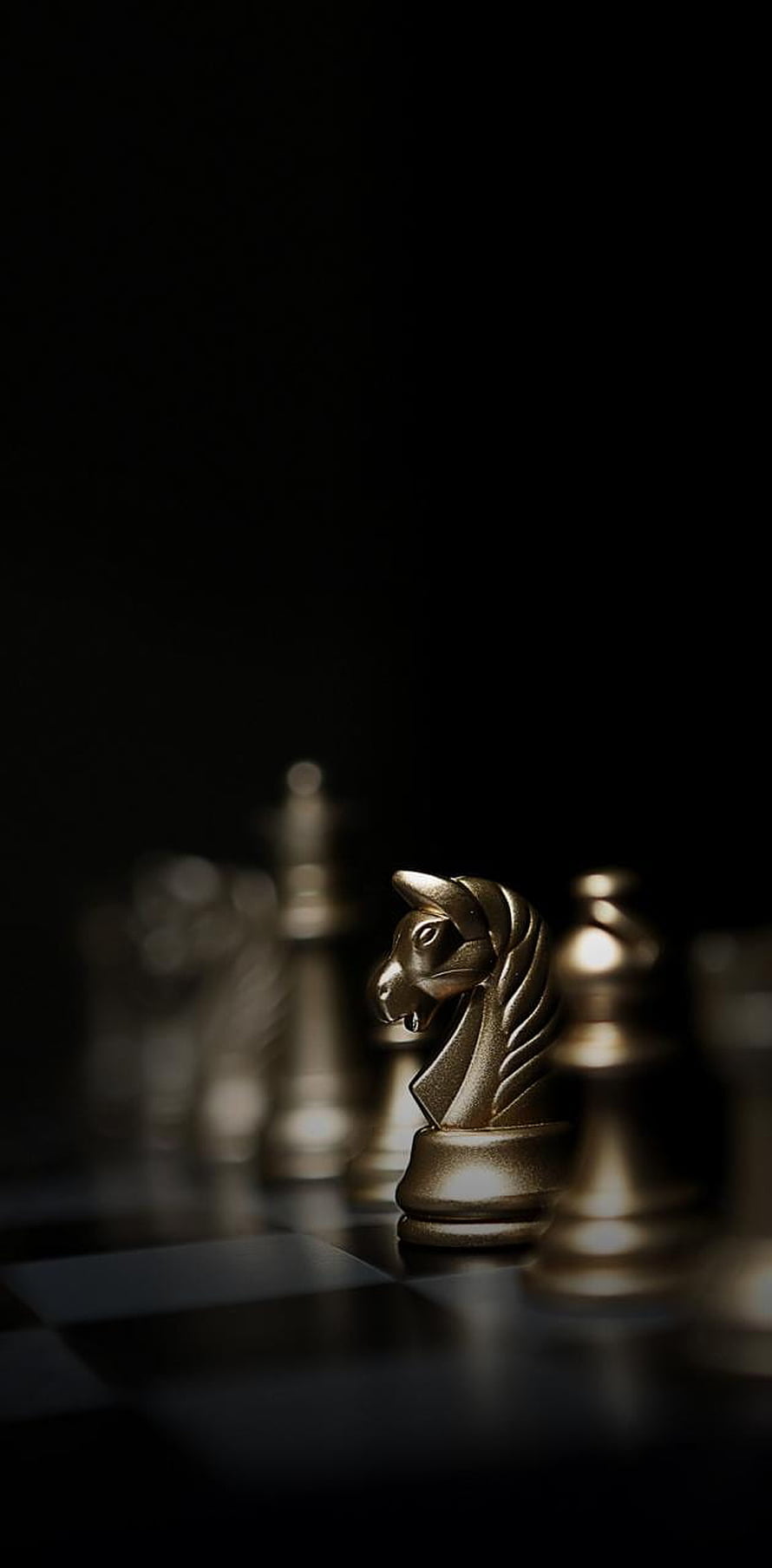 Golden Chess Knight on a Dark Board with Dramatic Lighting and Shallow Depth of Field HD phone wallpaper