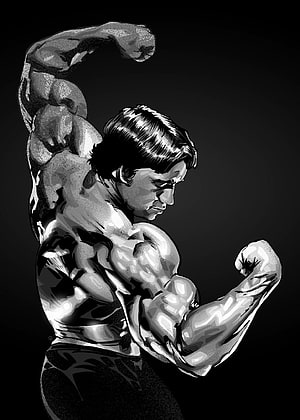 Black and White Illustration of a Muscular Bodybuilder Flexing Biceps HD phone wallpaper