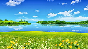 Serene Summer Lake Landscape with Green Grass, Yellow Dandelions, and Blue Sky Reflections HD wallpaper
