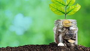 Growing Investment Concept with Coins in a Glass Jar and a Green Sprout on Soil HD wallpaper