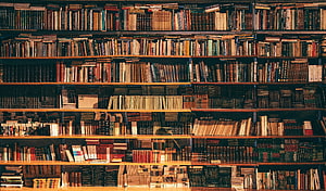 Vintage Library Bookshelves Filled With Old Books And Classic Literature HD wallpaper