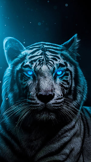 Mystical Blue Tiger Portrait With Glowing Eyes And Dark Background HD phone wallpaper