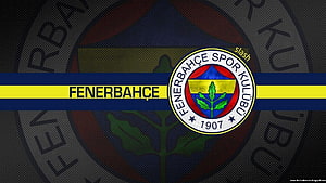 Fenerbahçe Spor Kulübü official logo and emblem with yellow and navy blue stripes HD wallpaper