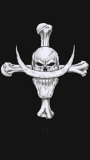 Whitebeard Pirate Jolly Roger Skull and Bones Logo Illustration HD phone wallpaper