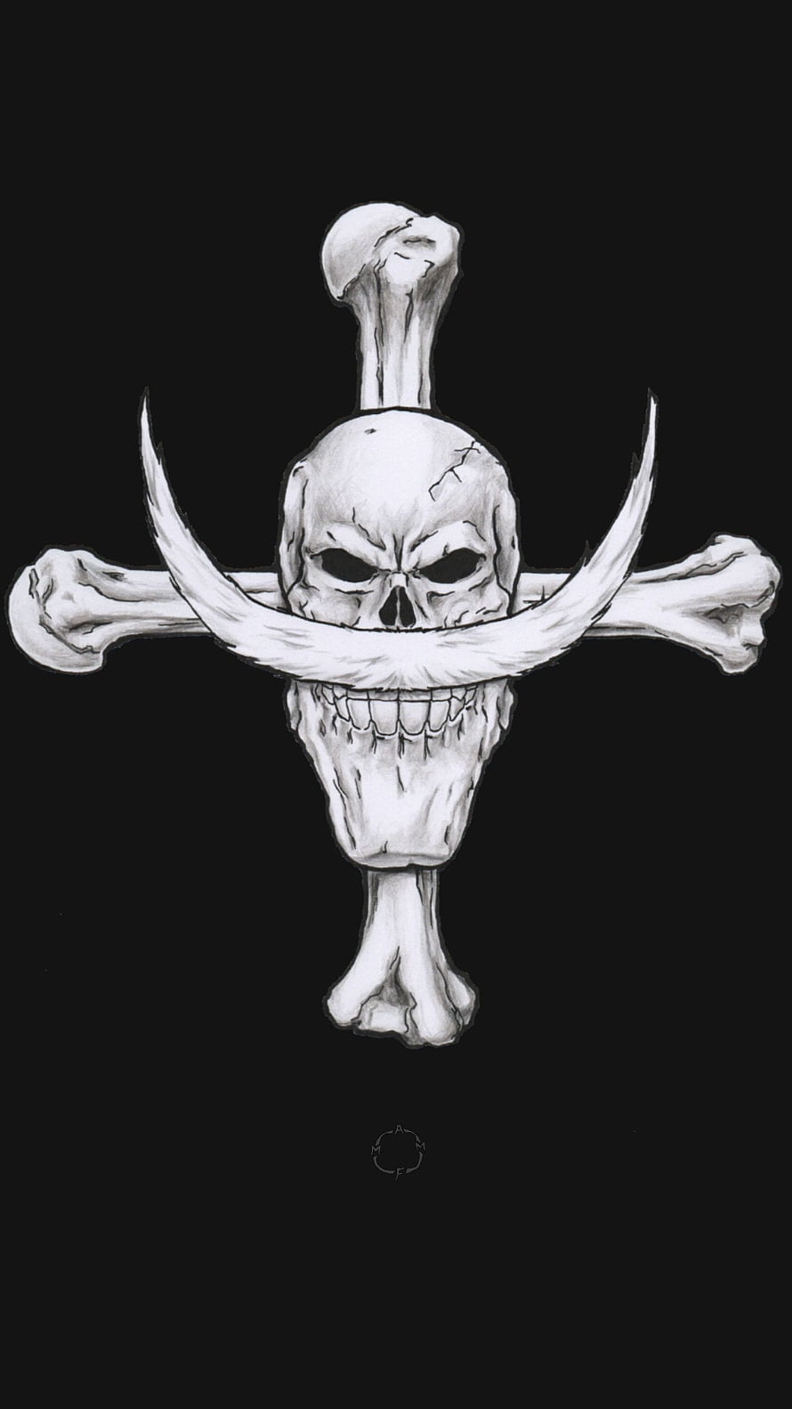 Whitebeard Pirate Jolly Roger Skull and Bones Logo Illustration HD phone wallpaper
