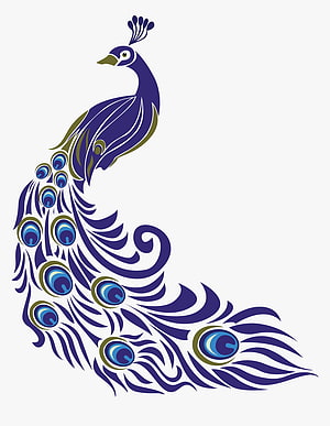 Stylized Peacock Vector Illustration with Ornamental Blue and Gold Feather Patterns HD phone wallpaper
