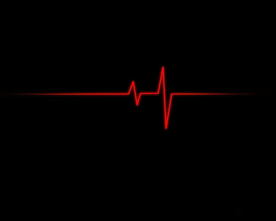 Red Heartbeat Line ECG Pulse Waveform on Black Background HD wallpaper
