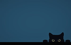 Cute Black Cat Peeking Over Edge Against Dark Blue Minimalist Background HD wallpaper