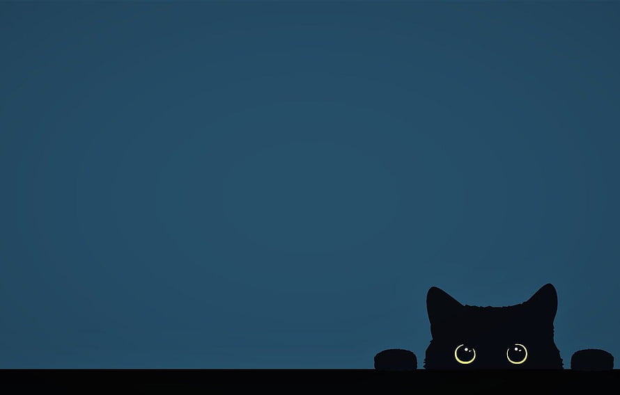 Cute Black Cat Peeking Over Edge Against Dark Blue Minimalist Background HD wallpaper