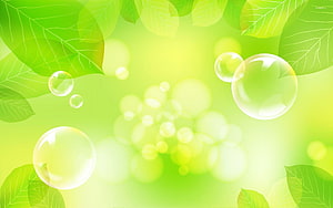 Fresh Green Leaves and Floating Bubbles with Soft Bokeh Light HD wallpaper