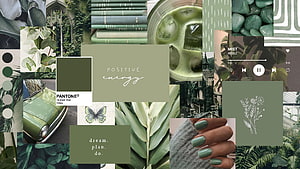 Sage Green Aesthetic Mood Board with Botanicals, Vintage Car, and Pantone Color Palette HD wallpaper