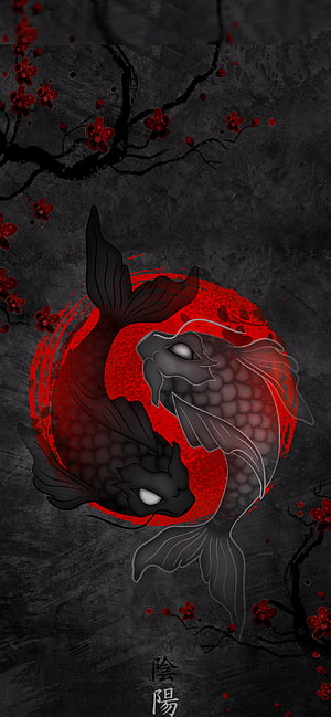 Yin Yang Koi Fish Design with Red Plum Blossoms on Dark Textured Background HD phone wallpaper