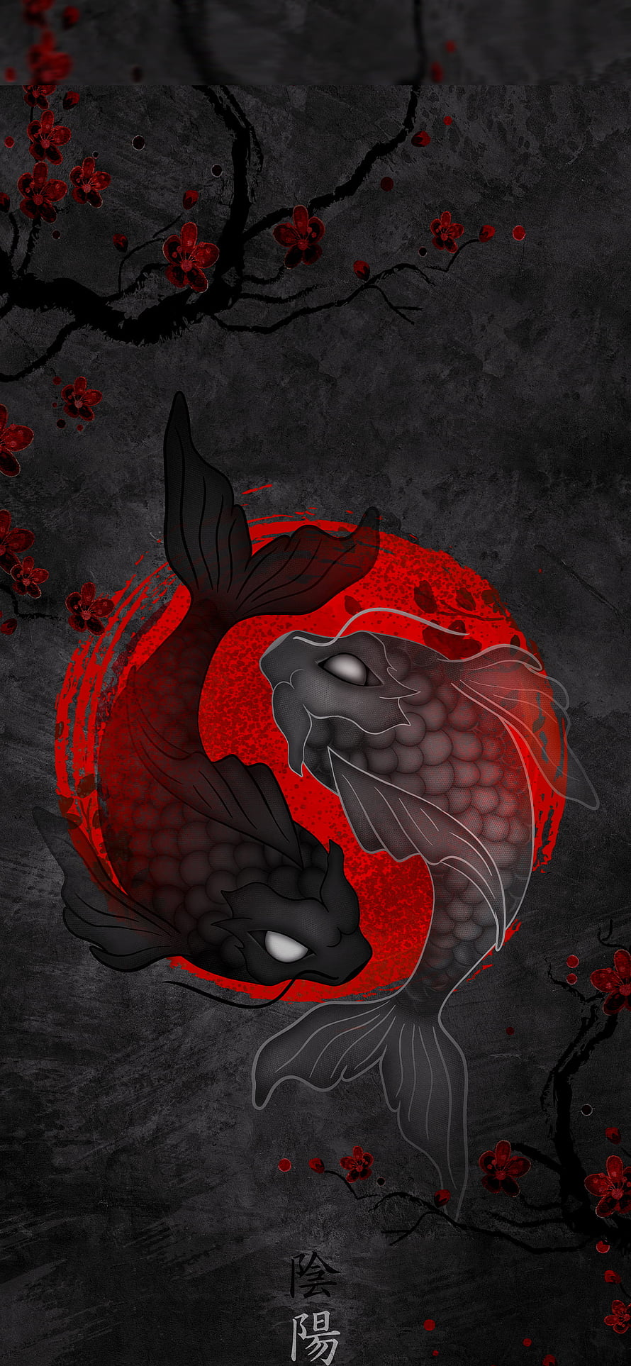 Yin Yang Koi Fish Design with Red Plum Blossoms on Dark Textured Background HD phone wallpaper