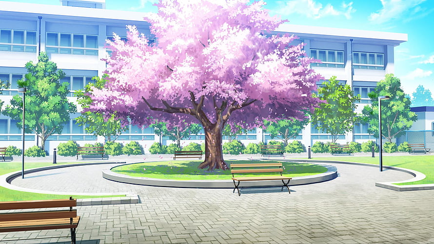 Anime School Courtyard With Blooming Cherry Blossom Tree And Benches HD wallpaper