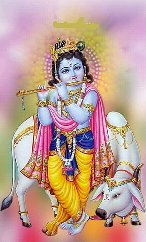 Lord Krishna Playing Flute Beside White Cow in Traditional Indian Art HD phone wallpaper