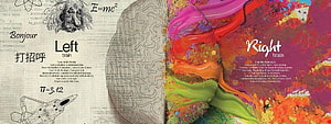 Left Brain vs Right Brain Artistic Illustration Comparing Logic and Creativity HD wallpaper