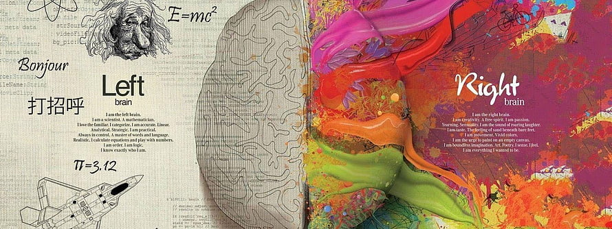 Left Brain vs Right Brain Artistic Illustration Comparing Logic and Creativity HD wallpaper