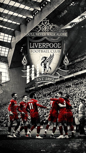 Liverpool FC Players Celebrating in Front of the Anfield Crest and You'll Never Walk Alone Banner HD phone wallpaper