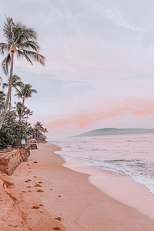 Serene Tropical Beach with Palm Trees and Soft Pink Sunset Sky HD phone wallpaper