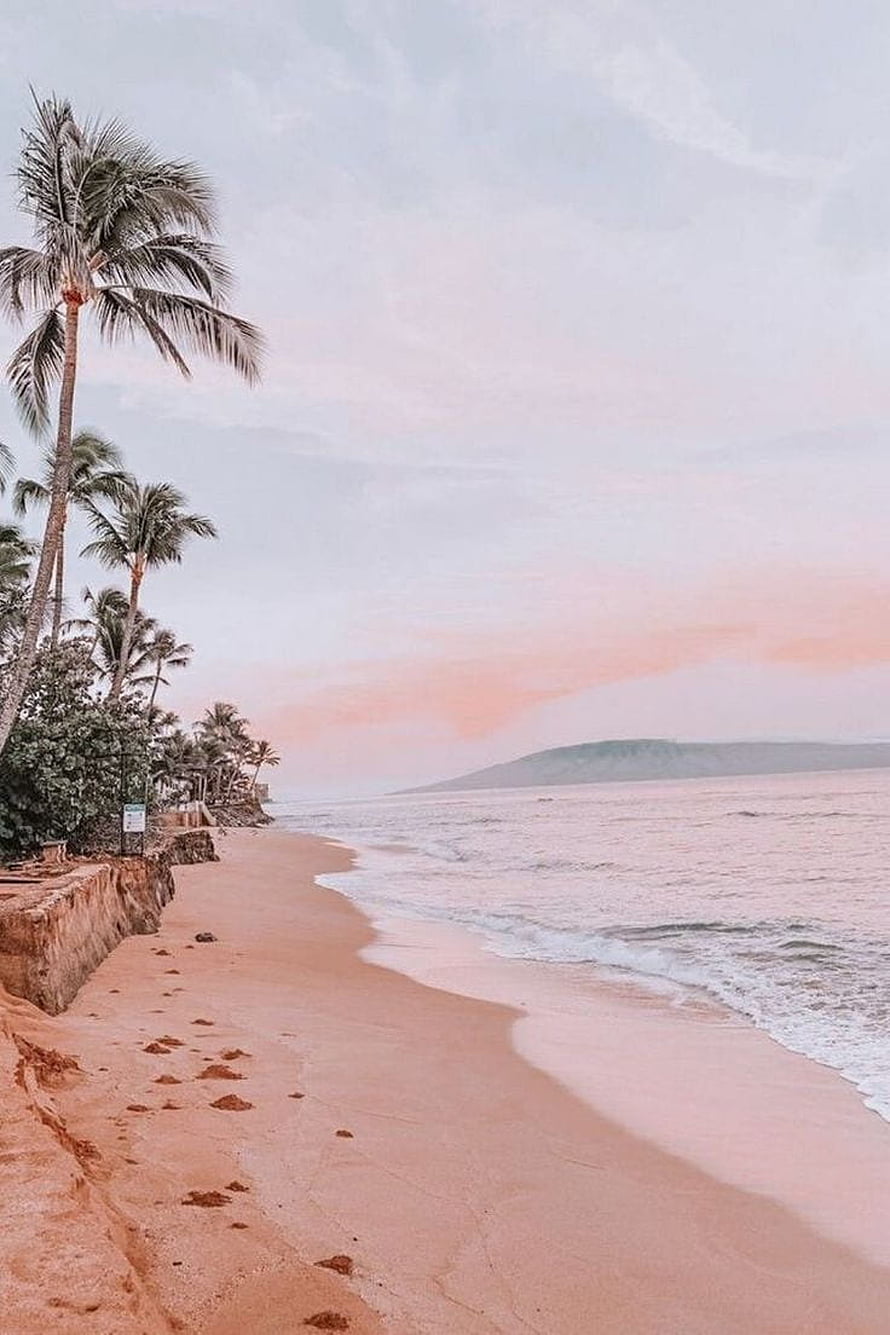 Serene Tropical Beach with Palm Trees and Soft Pink Sunset Sky HD phone wallpaper