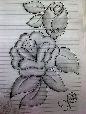 Hand-drawn pencil sketch of a rose and bud on lined notebook paper HD phone wallpaper