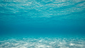 Underwater Ocean Scene With Sunlight Filtering Through Turquoise Water And Sandy Seabed HD wallpaper