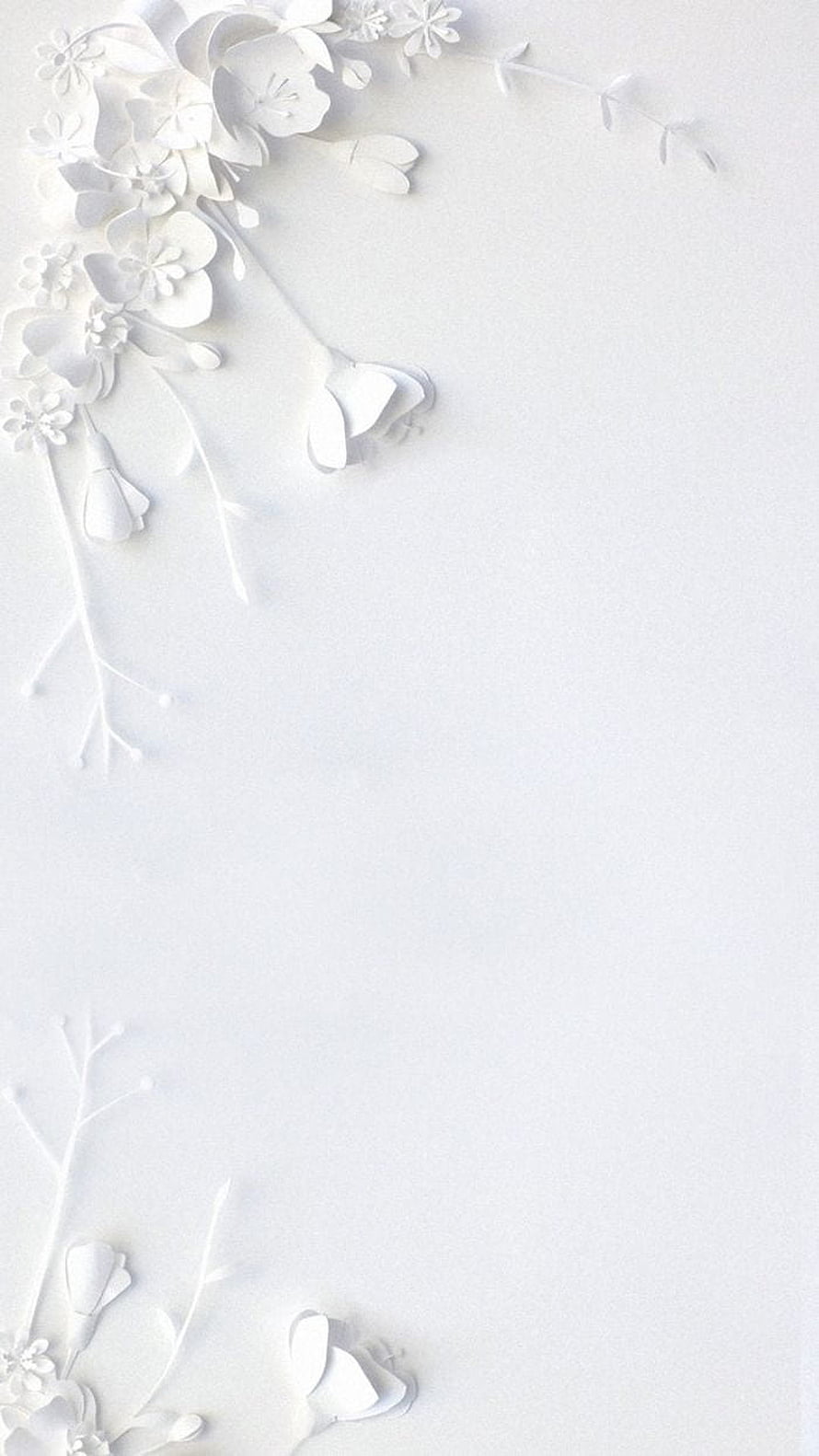 Minimalist White Paper Cutout Floral Branches on Soft Background HD phone wallpaper