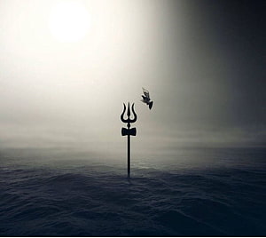 Silhouette of a Trishul Standing in the Ocean with a Bird in Flight HD wallpaper