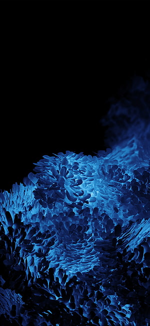 Samsung Galaxy S20 Ultra Official Blue Abstract Petal Texture Wallpaper HD phone wallpaper