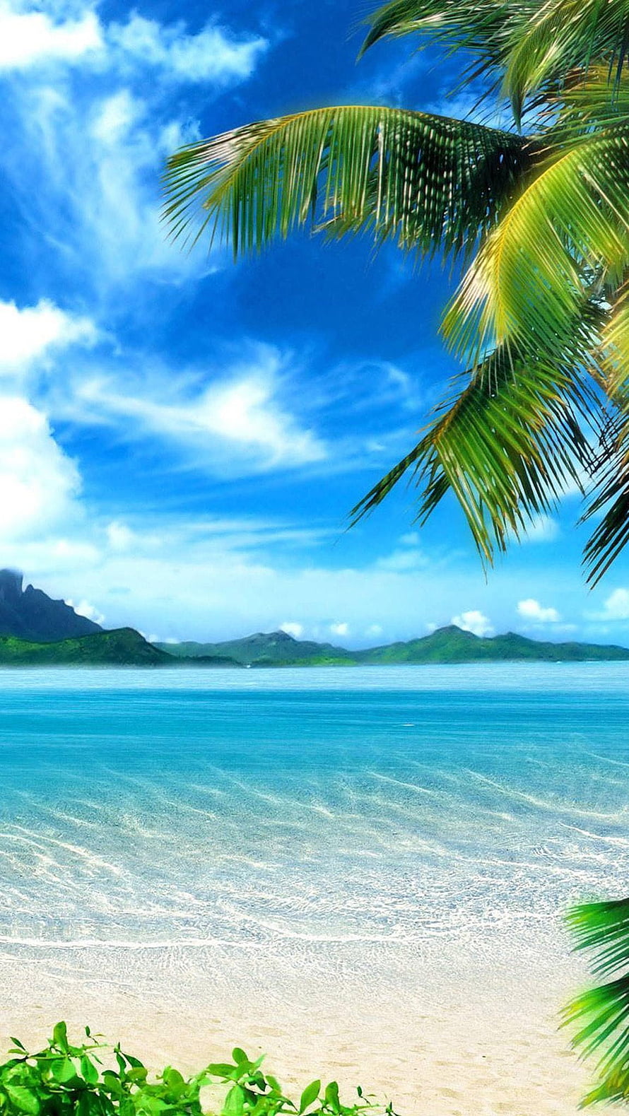 Serene Tropical Beach with Palm Fronds and Turquoise Water HD phone wallpaper