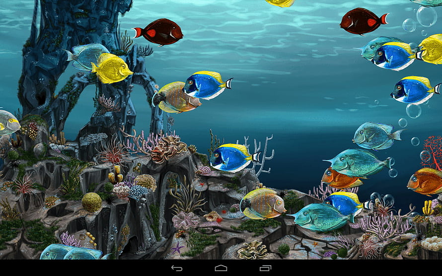 Vibrant Underwater Coral Reef Scene With Colorful Tropical Fish Swimming Among Rocks HD wallpaper