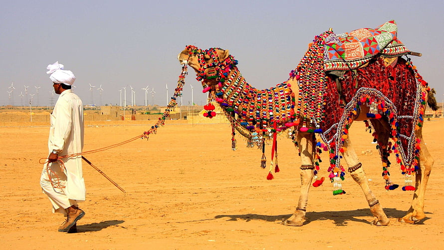 Decorated Camel and Guide in the Thar Desert of Rajasthan HD wallpaper