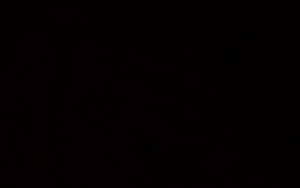 Minimalist Matte Black Background with Subtle Texture and Deep Dark Tones HD wallpaper