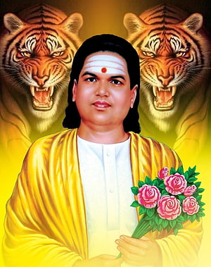 Portrait of Sai Baba holding pink roses with two roaring tigers in the background HD phone wallpaper
