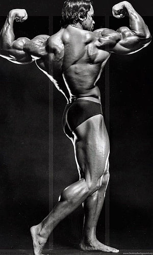 Arnold Schwarzenegger Classic Bodybuilding Pose Black And White HD phone wallpaper