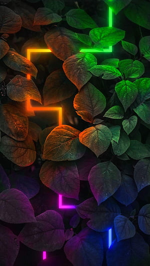 Neon Lights Illuminating Green Leaves in Dark Forest HD phone wallpaper