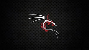 Kali Linux Dragon Logo on Dark Perforated Metal Background HD wallpaper