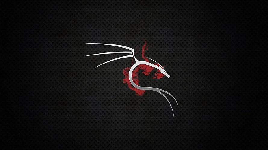 Kali Linux Dragon Logo on Dark Perforated Metal Background HD wallpaper