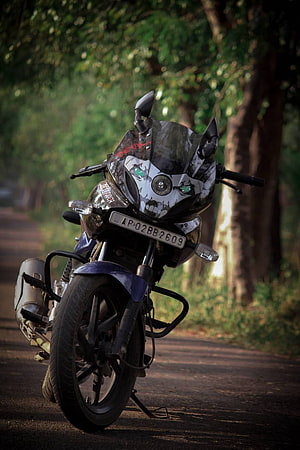 Custom Pulsar 220F Motorcycle with Skull Decal Parked on a Tree-Lined Road HD phone wallpaper